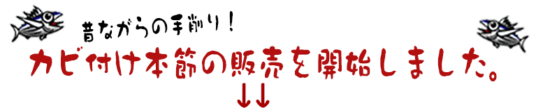 カビ付け本節の販売を開始しました。
